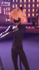 Cat Noir Video In 2021 Miraculous Ladybug Fanfiction Miraculous Ladybug Movie Miraculous Ladybug