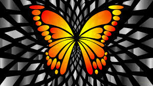 Beautiful flowers and plants wallpapers. Orange Butterfly Wallpapers Barbara S Hd Wallpapers