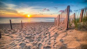 Voir plus d'idées sur le thème soleil, l'heure, oiseaux. Rendez Vous A La Plage Pour Le Lever Du Soleil Et Faire Le Plein D Energies