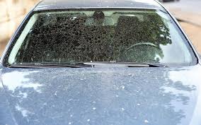 How To Get Tree Sap Off A Car Window In