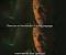Inspirational Whiplash Quotes