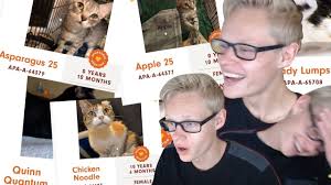 No, scream out strength. the name you eventually choose should fit, not only her appearance, but black and white female cat names. Funny Cat Names Youtube