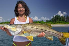 Dec 26, 2012 · fishing late night tides with an over caffeinated crew—including capt. Snook Robalo Lagooner Fishing Saltwater Gamefish