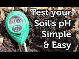 Soil ph is the measure of acidity and alkalinity in a specific plot of earth, from 0.0 (most acidic) to 14.0 (most alkaline/basic). How To Measure Your Soil Ph Cheap And Easy Youtube