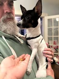 saftey Harbor's own robin Zander in the house🙌🏼🙌🏼