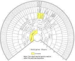 Fan Charts