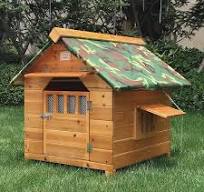 Amazon.com: Casa para perros de madera, resistente a la ...