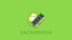 Pin Di Bacaberdua