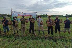 Check spelling or type a new query. Pelatihan Bawang Merah Oleh Bi Prov Kaltara Https Www Bi Go Id Id Publikasi Laporan Lpp Documents Laporan 20perekonomian 20provinsi 20kalimantan 20selatan 20februari 202021 Pdf Hal Tersebut Dapat Meminimalisir Gagal