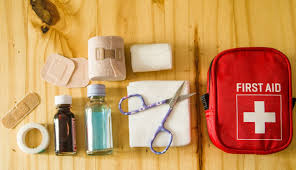 Image result for First Aid Travel Kit