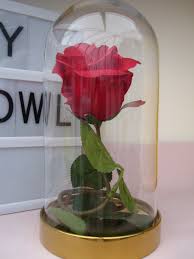 This diy enchanted rose will light up your life! Mummy Snowy Owl Making An Enchanted Rose