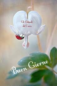 Animazione gif con le parole buongiorno per la tua dolce metà. 900 Idee Su Immagini Di Buon Giorno Nel 2021 Buona Giornata Buongiorno Immagini