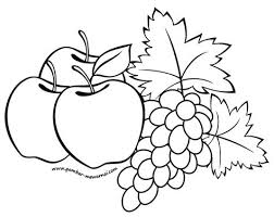 We did not find results for: 80 Gambar Buah Buahan Kartun Hitam Putih Terbaik Gambar Pixabay