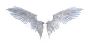 Black And White Angel Wings Wallpaper Angel Wings 3d Illustration Angel Wings White Wing Plumage Isolated On White B Affiliate Illus Angel Wings Art Angel Wings Images Angel Wings Background