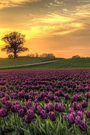 روائع التويتر On Twitter Beautiful Nature Nature Photography Beautiful Landscapes