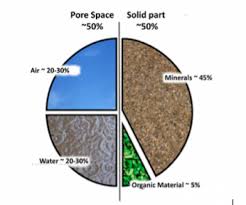 Pie Chart See Description Above For More Details