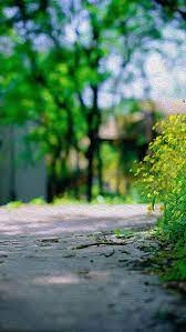Le Printemps De Toile De Fond A La Vue De Bord De Route H5 Landscape Background Blur Photo Background Dslr Background Images