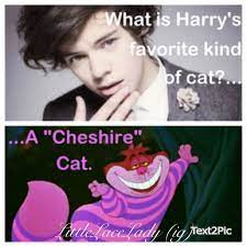One Direction Joke I Made Up Only True Directioners Will Get It I Love One Direction One Direction Jokes 1d Funny