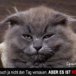 Hat man einen gemeinsamen humor, kann man davon ausgehen, dass man auch etliche andere gemeinsamkeiten montag ist der tag, an dem man das erste mal ans wochenende denkt. Spruche Zum Wochenende Spruche Suche