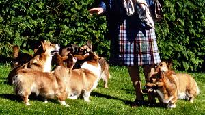 chorus if all of the kings had their queens on the throne we would pop champagne and raise a toast to all of the queens who are fighting alone baby, you're not dancing on your own. Queen Elizabeth S Corgis A History Vanity Fair
