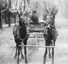 Westside Pioneer Online