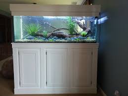 My 180 Ga Aquarium Fish Tank Aquascape