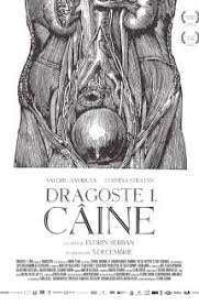 Filme online subtitrate 5337 filme pe site. Dragoste 1 Caine 2018 Film Online Subtitrat Filme Online Gratis Subtitrate In Limba RomanÄƒ