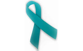 In the united states it is organized by the colorectal cancer alliance.. National Ovarian Cancer Awareness Month Long Island Weekly