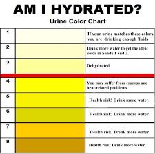 Urine Color Chart And Meaning Urine Color Chart Color Of Urine Nursing Mnemonics