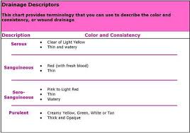 Wound Color Classification Google Search Nurse Job