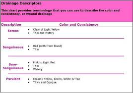 wound color classification google search nurse job