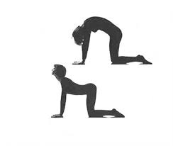 Wir haben unterschiedlichste hersteller & marken untersucht und wir zeigen vorteile ihnen als leser hier unsere resultate. 5 Yoga Ubungen Fur Manner Die Euch Im Bett Langer Durchhalten Lassen