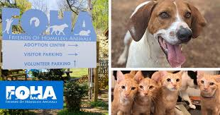 National adoptable and lost & found database. Foha S Mission Story And No Kill Philosophy Friends Of Homeless Animals