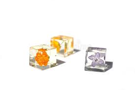 The resin kit was $33 and the dried flowers were $13. Dried Flowers In Epoxy Resin Cubes Isolated On White Background Stock Image Image Of Expensive Dried 171150359