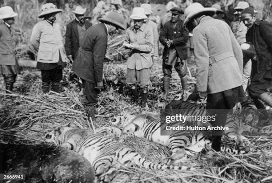 372 King Emperor George V Stock Photos, High-Res Pictures, and Images - Getty Images