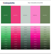 This pink and green color palette has a beautiful combination of blush pink and bubblegum pink with a balance of sage green, dark green and aqua blue. Sea Green French Rose Powder Ash Persian Pink Highland Color Scheme Icolorpalette