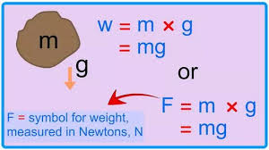 How To Calculate Weight From Mass 10 Steps With Pictures