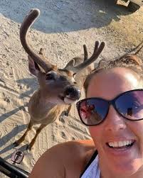 Saddle hunters be like