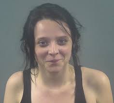 On April 14, the Bowling Green Police Department successfully apprehended  Adrian C. Barnes, 37, after an eight-hour standoff at 1648 Johnson Drive.  Barnes was attempting to evade several active warrants. Crisis Negotiators