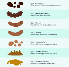 Hellbrauner stuhlgang ⇒ experten klären auf: Wie Gesund Ist Dein Stuhl Kry