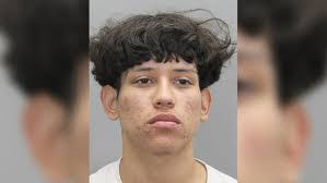 Vladimir Garcia's Instagram, Twitter & Facebook