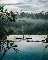 15 Amazing Swimming Pools Like A Paradise Amazing Swimming Pools Resort Pools Dream Pools