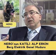 Levent On Twitter Istanbul Sariyer De Nero Isimli Kopek Alp Erkin Isimli Sahis Tarafindan Silahla Vurularak Olduruldu Alp Erkin Daha Once De Baska Bir Kopegi Arabasiyla Vurarak Oldurmus Hayvan Haklari Yasasi Cikmadigi Icin