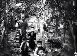 Kể chuyện về bác - nội dung