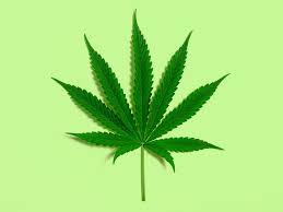 It is interesting how marijuana can help as medical purposes. As Marijuana Use Grows Researchers Want To Know How It Affects The Heart American Heart Association