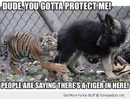 Dude Protect Me Funny Animals Animal Captions Funny Animal Quotes
