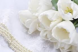 White Flowers Hd Wallpapers Wedding Flowers Desktop Images White Flower Wallpaper Beautiful Flowers Wallpapers Beautiful Flowers Images