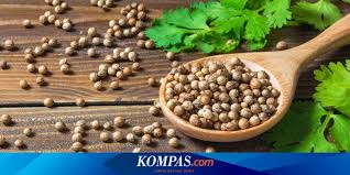 Ketumbar adalah salah satu rempah wajib yang harus ada di dapur. Ternyata Ketumbar Bermanfaat Untuk Jantung Halaman All Kompas Com