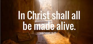 Image result for images for 1Corinthians 15:22