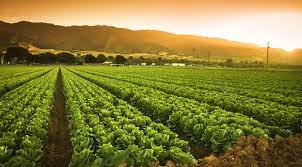 Gemini studios was an indian film studio based in madras, tamil nadu.it was launched when s. The Challenge For Ag Producers After Bayer Monsanto Bmo Harris Bank